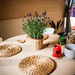 Frühstückspension Brzozowy Gaj Glowczyce