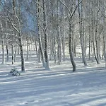 Brzozowy Gaj 3*