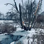 Frühstückspension Brzozowy Gaj Glowczyce