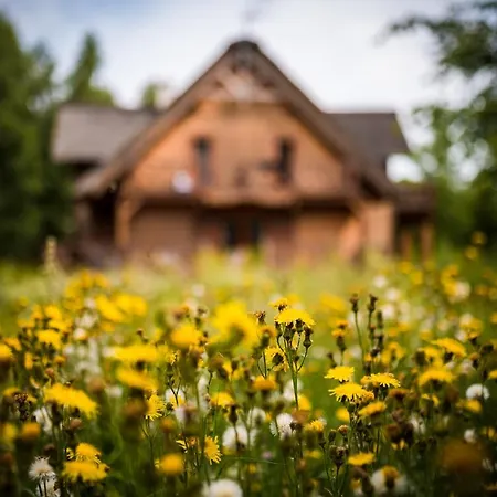 Bed & Breakfast Brzozowy Gaj Glowczyce