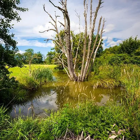 Panzió Brzozowy Gaj