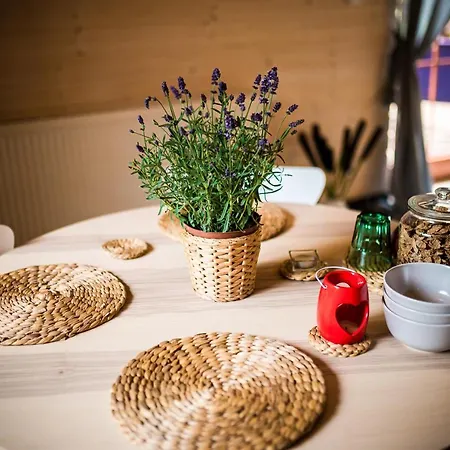 Bed & Breakfast Brzozowy Gaj Glowczyce