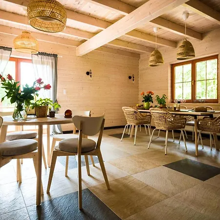 Brzozowy Gaj Panzió