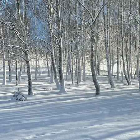 Brzozowy Gaj 3*