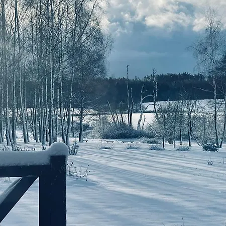 Panzió Brzozowy Gaj Główczyce