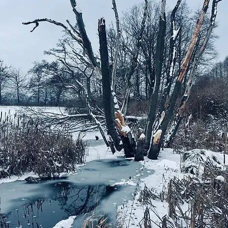 Panzió Brzozowy Gaj Główczyce