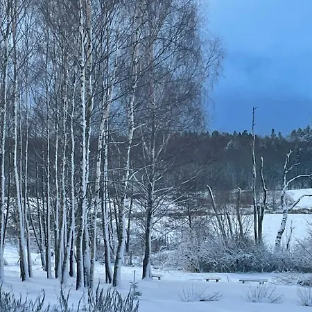 Couette-café Brzozowy Gaj