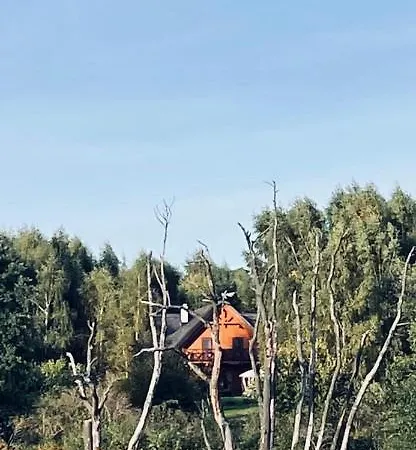 Panzió Brzozowy Gaj Główczyce