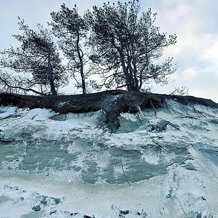 Brzozowy Gaj 3*