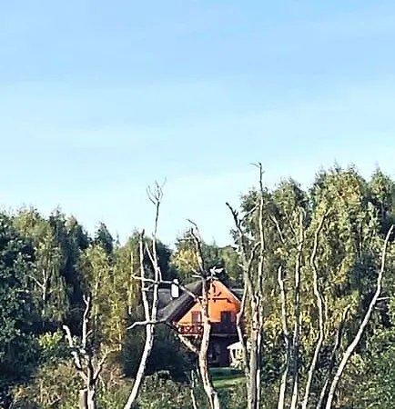 Brzozowy Gaj 3* Glowczyce