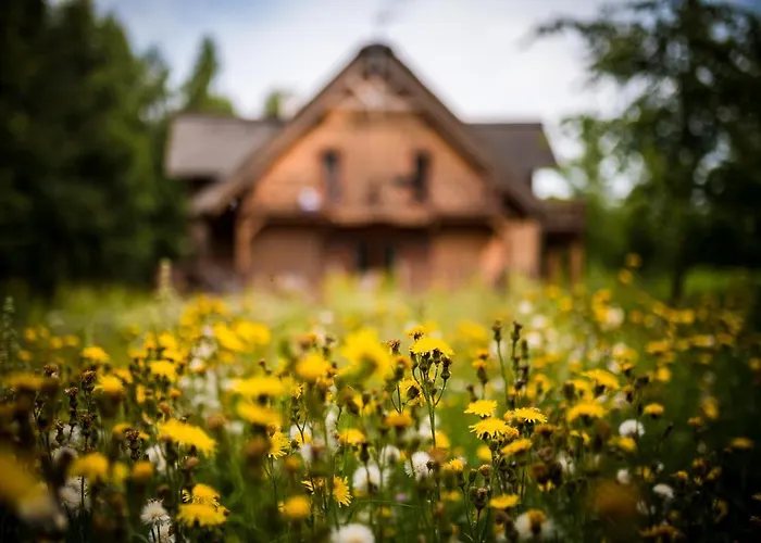 Bed & Breakfast Brzozowy Gaj Glowczyce