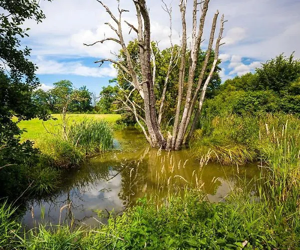 Couette-café Brzozowy Gaj
