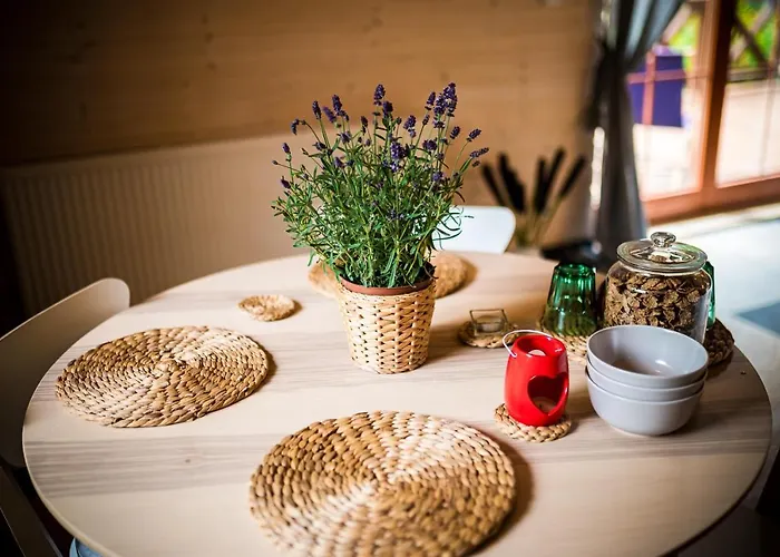 Bed & Breakfast Brzozowy Gaj Glowczyce