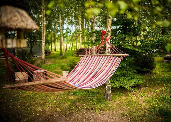 Bed & Breakfast Brzozowy Gaj 3*