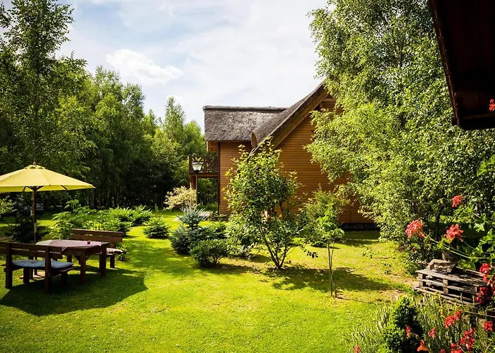 Brzozowy Gaj Glowczyce