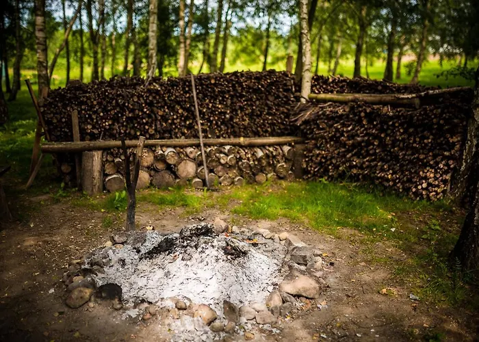 Bed & Breakfast Brzozowy Gaj 3*