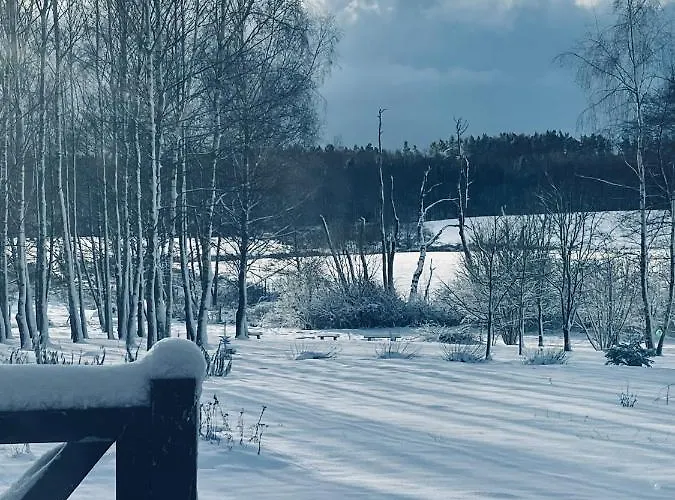 Bed & Breakfast Brzozowy Gaj Glowczyce