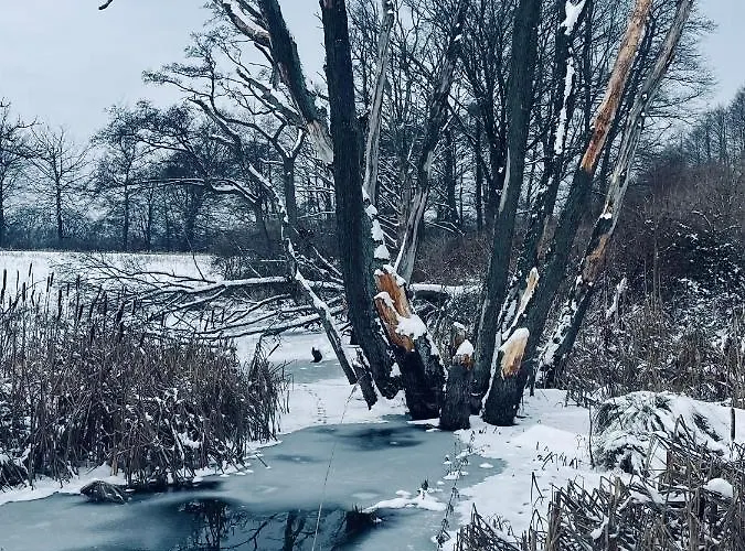 Couette-café Brzozowy Gaj Glowczyce