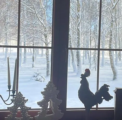 Brzozowy Gaj 3* Glowczyce