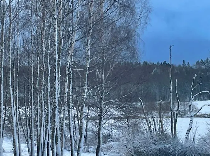 Couette-café Brzozowy Gaj