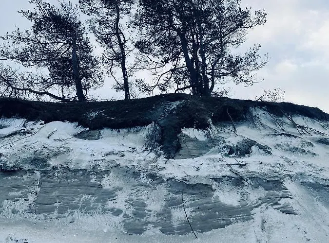 Brzozowy Gaj Bed & Breakfast